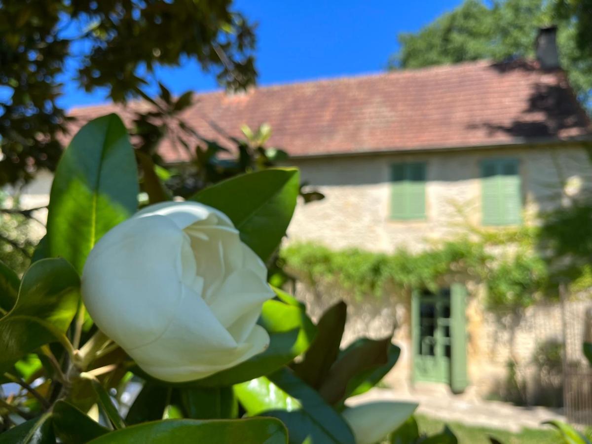 Le Clos Chalmon Chambre D'Hote Montignac-Lascaux Bagian luar foto